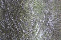 Great Blakenham fibreglass roof work